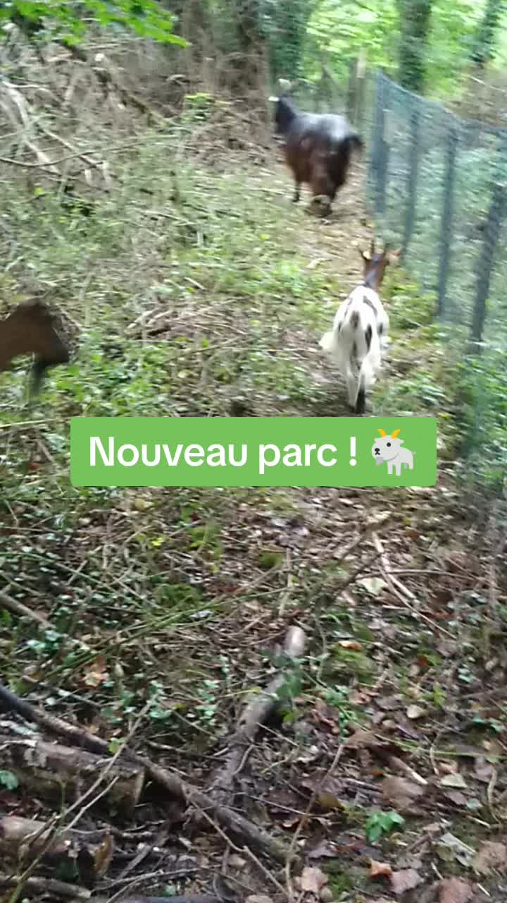 @association_apaa03