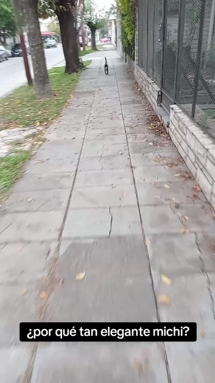 @Dulce Navidad