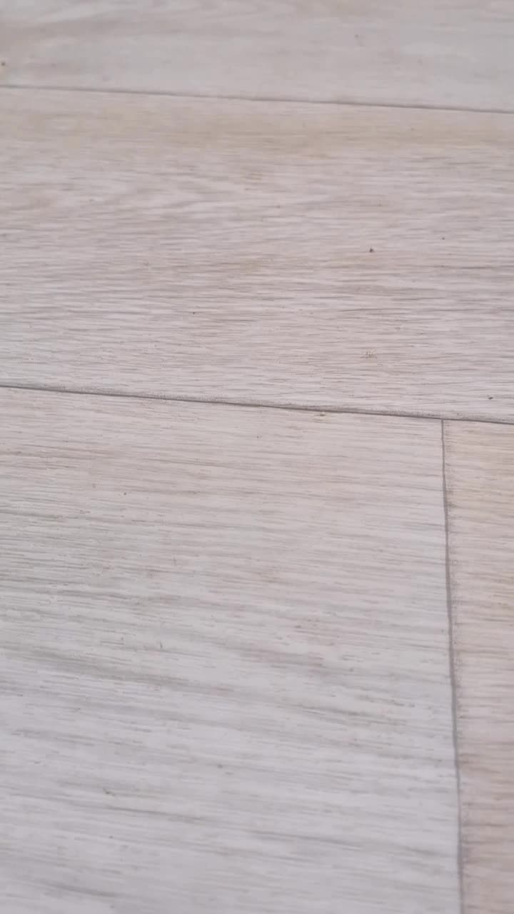 @🦋lizikx🦋