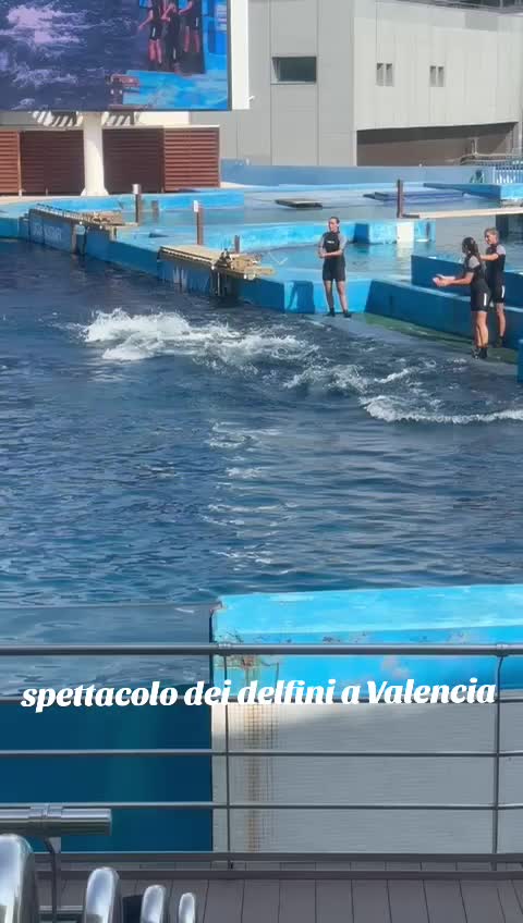 @CristianDiGaetano