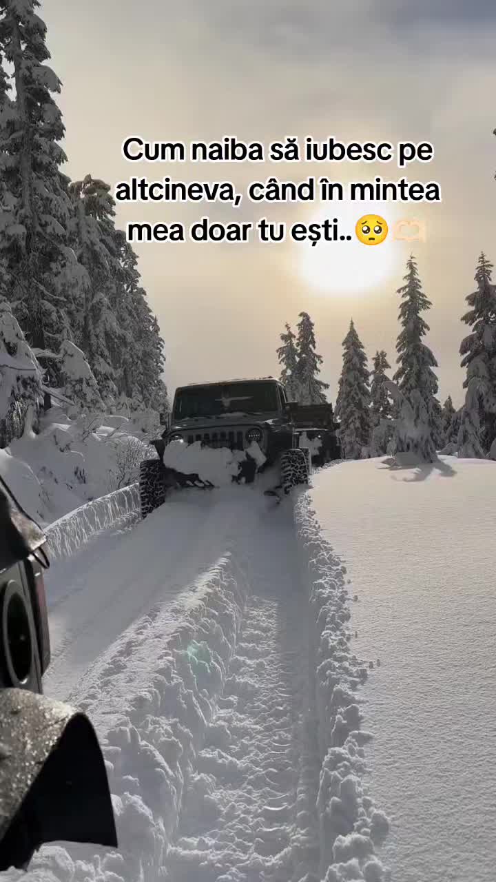@Alexuța 🫡❤️