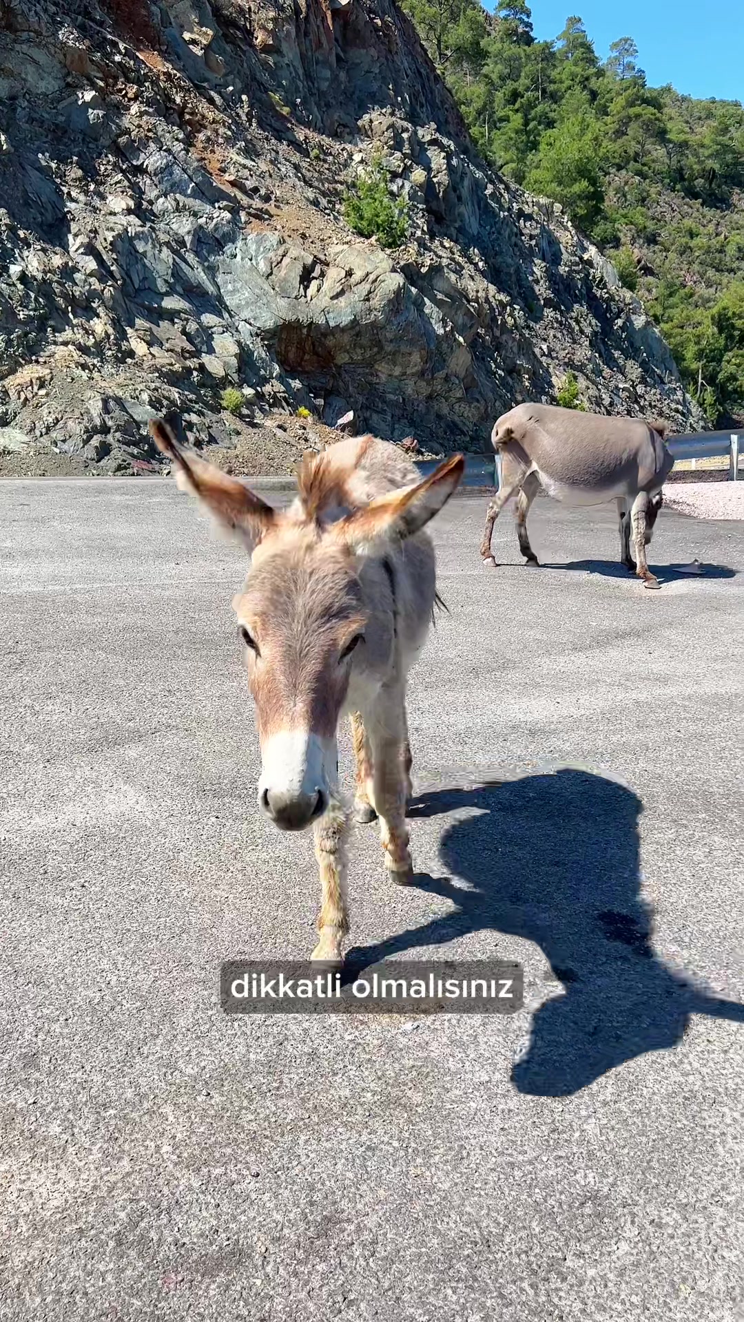 @Rotasız Mimar