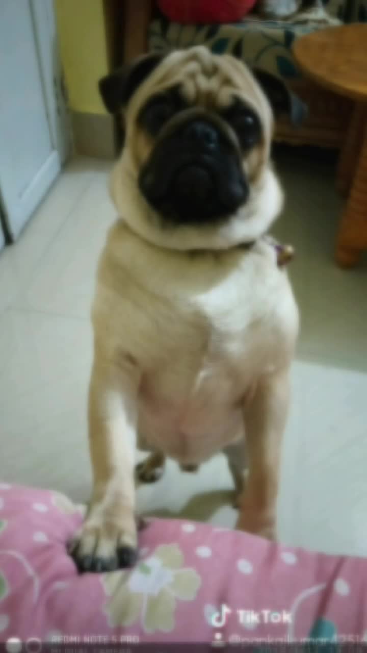 @Pankaj Kumar