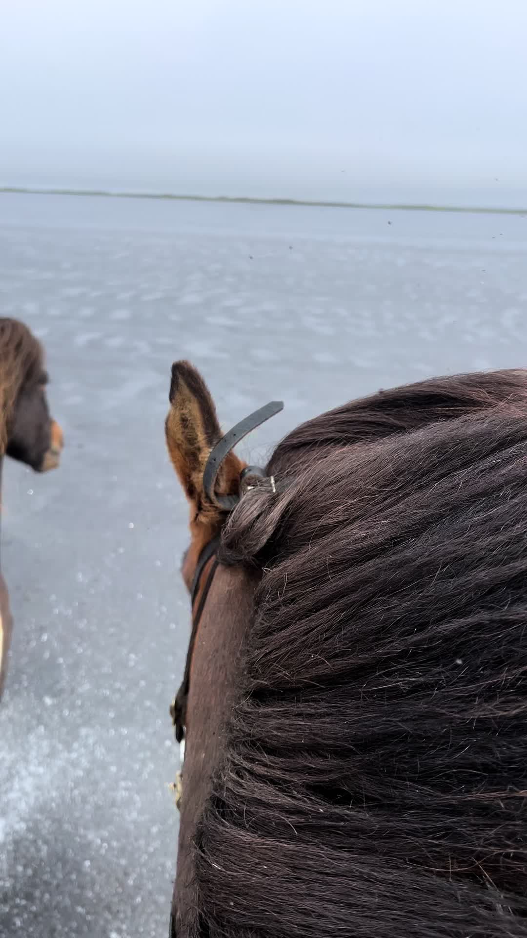 @nordwind_reitreise