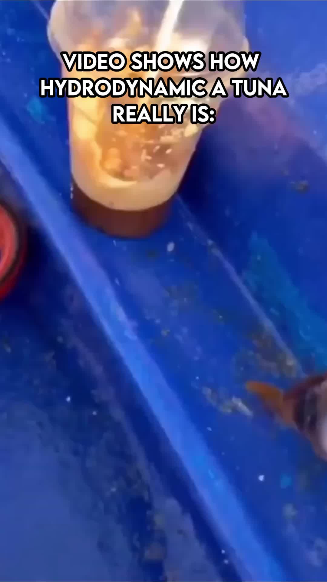 @man
