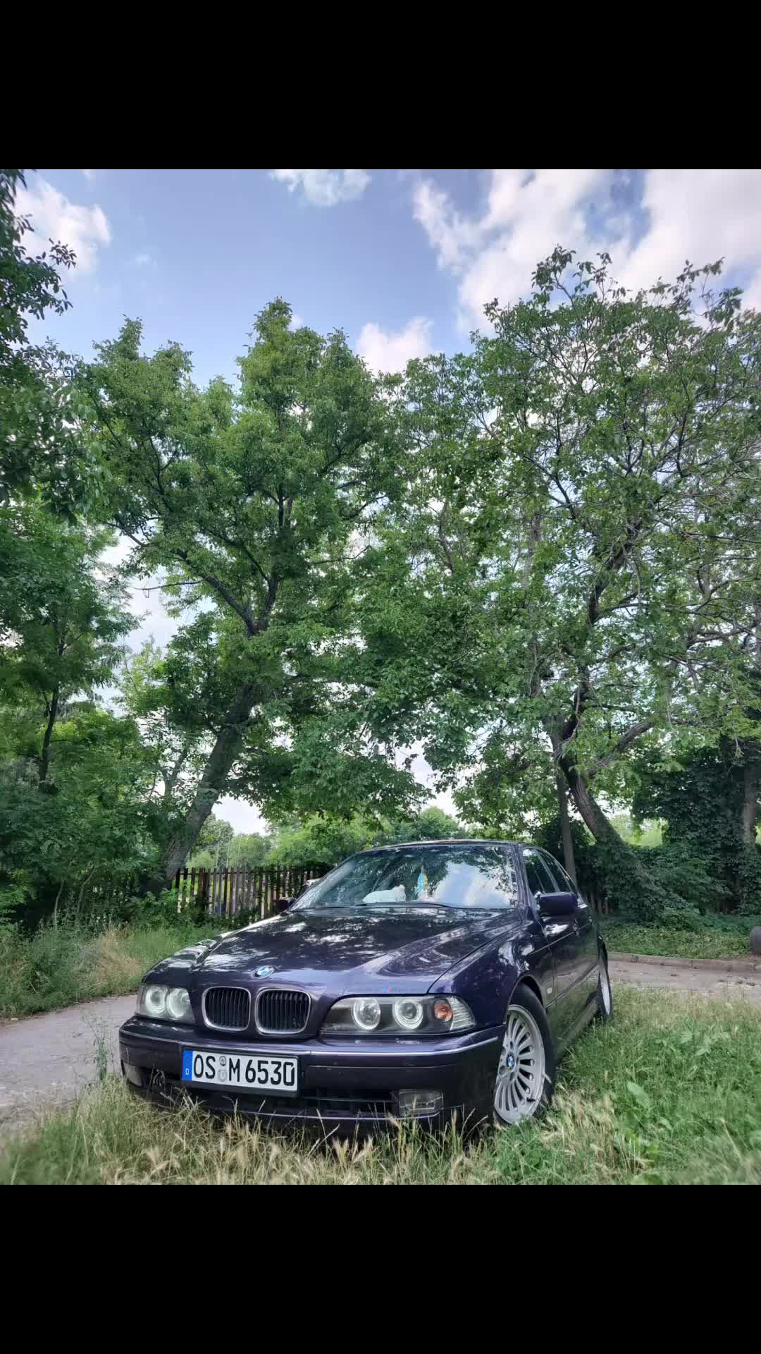 @n.mollov.e39