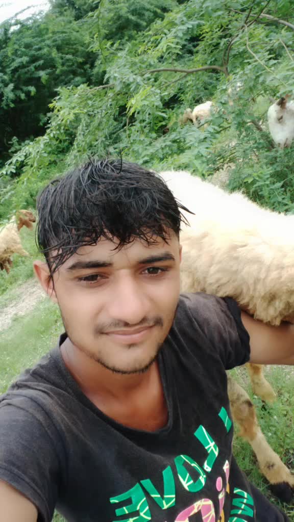 @D k નુ રજવાડૂ
