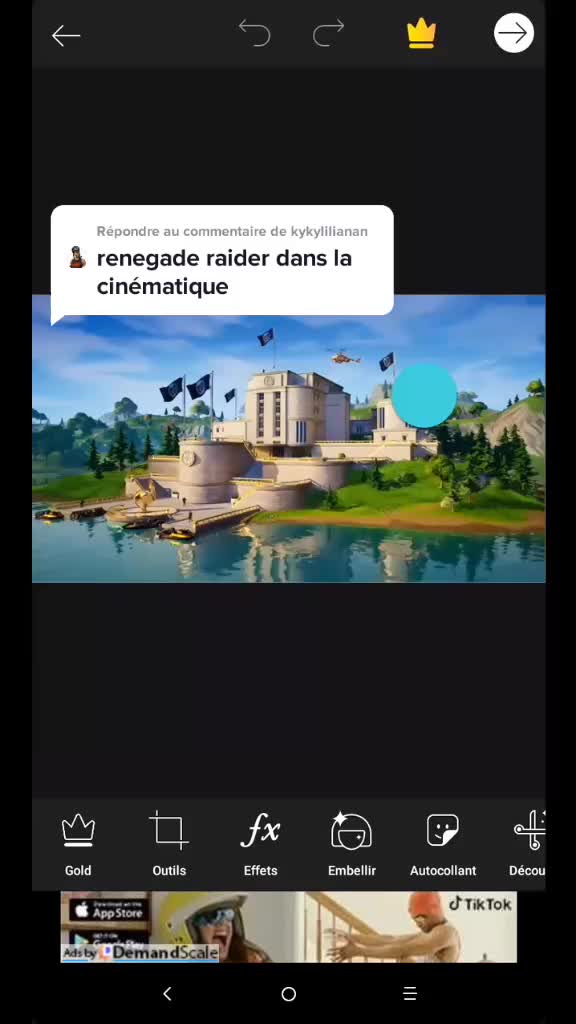 @brigade des anti des anti 2010