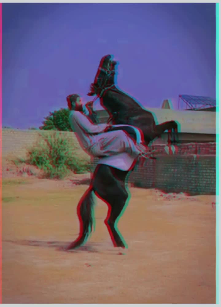 @☠️ Lala Afridi 👑