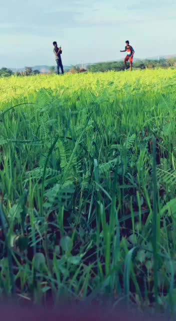 @userEvergreen kesava