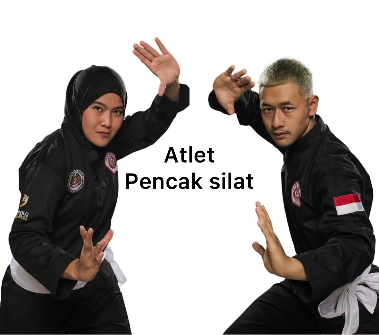 @Hanifanpipiet