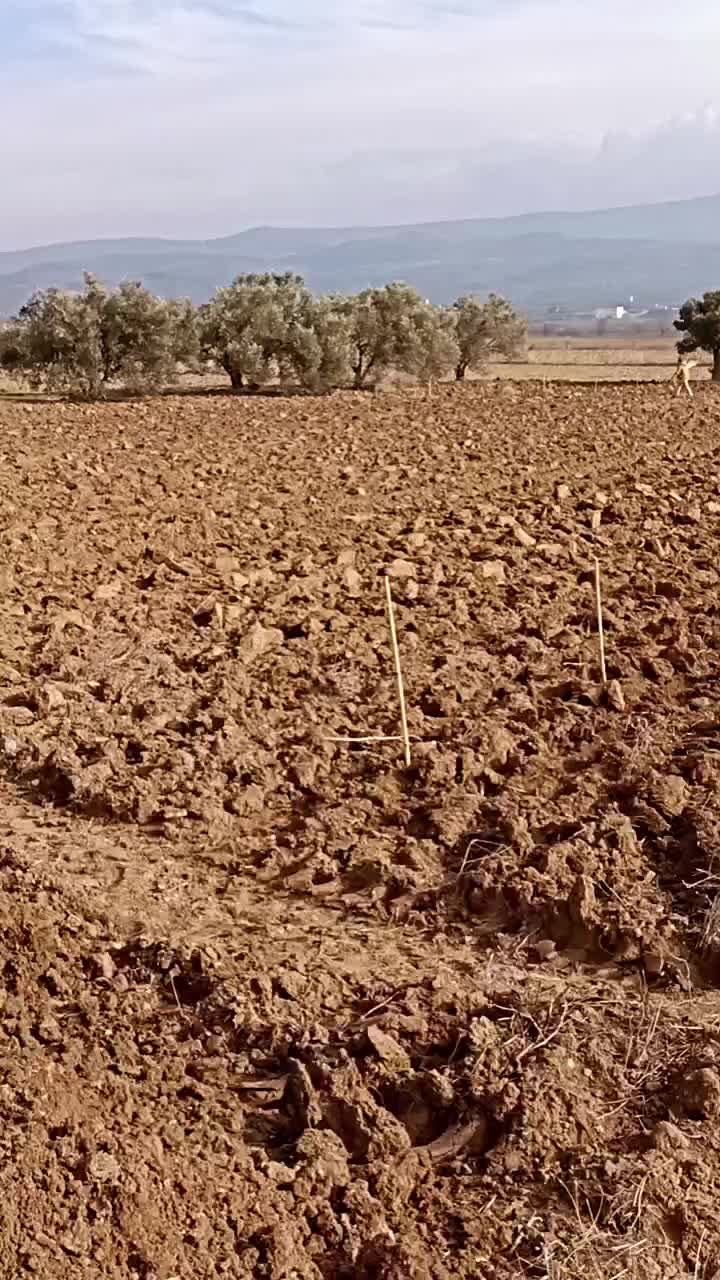 @Kazım SARI