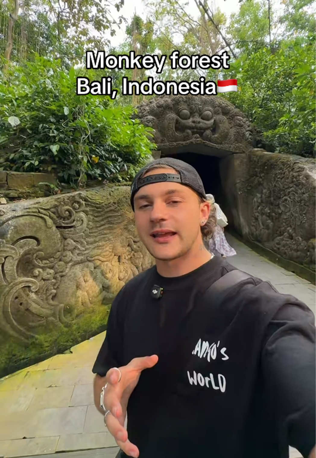 @M3NGO🌎