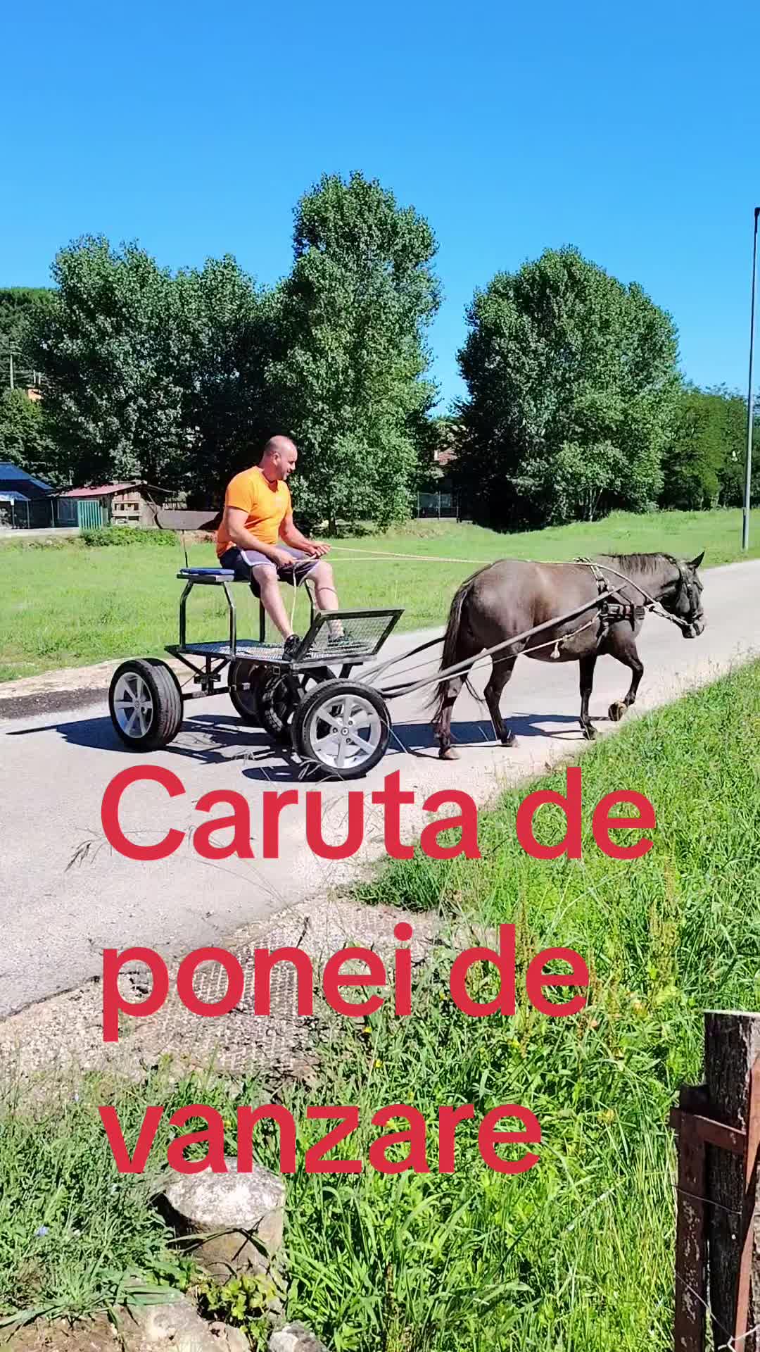 @Olaru Alex