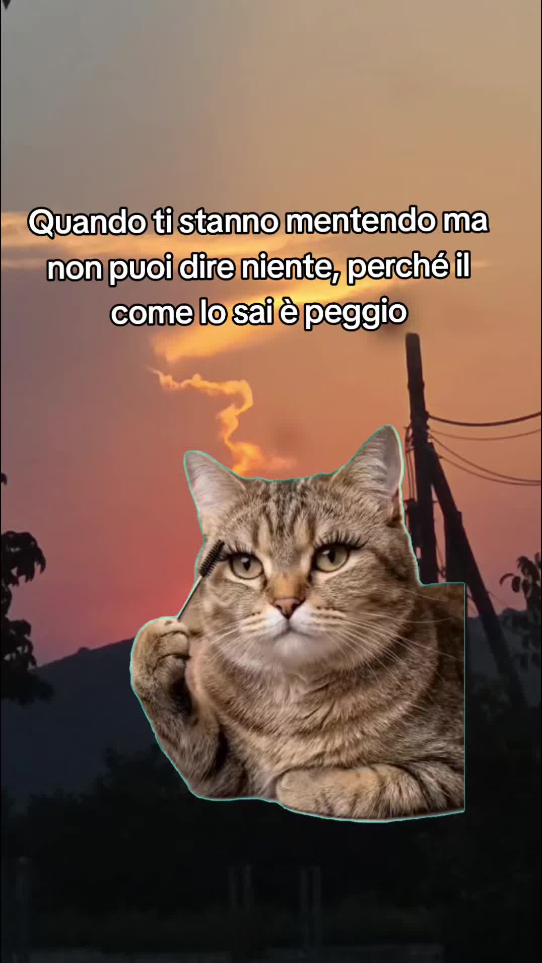 @Hartiz_Tatiana Limongelli