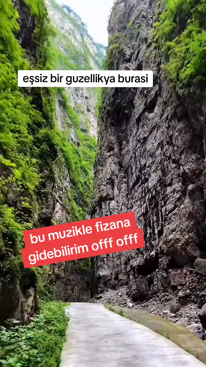 @İstanbul pati dunyasi