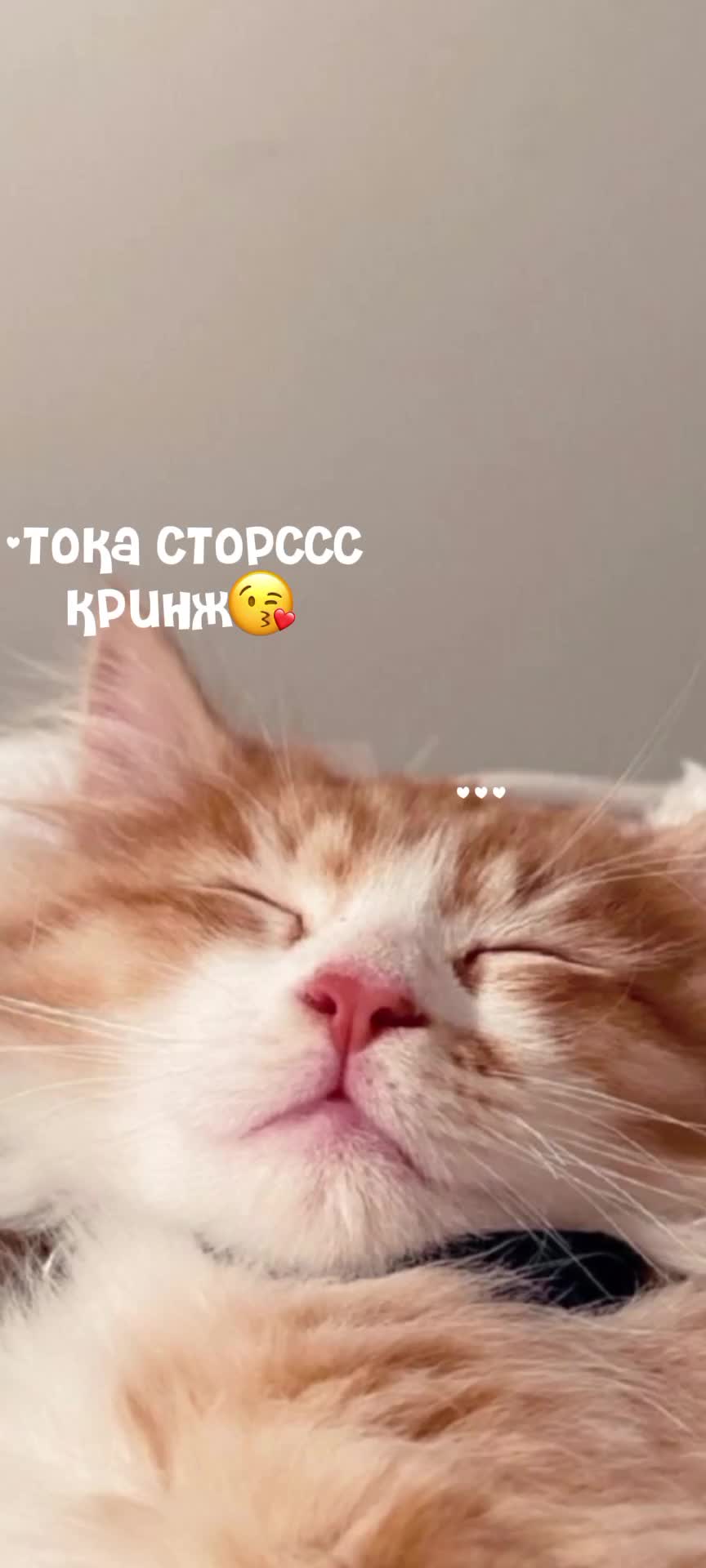 @toka.storsss