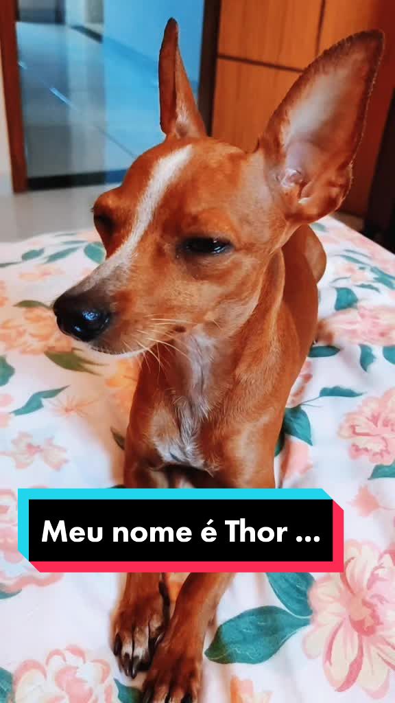 @Thor Dias Reis