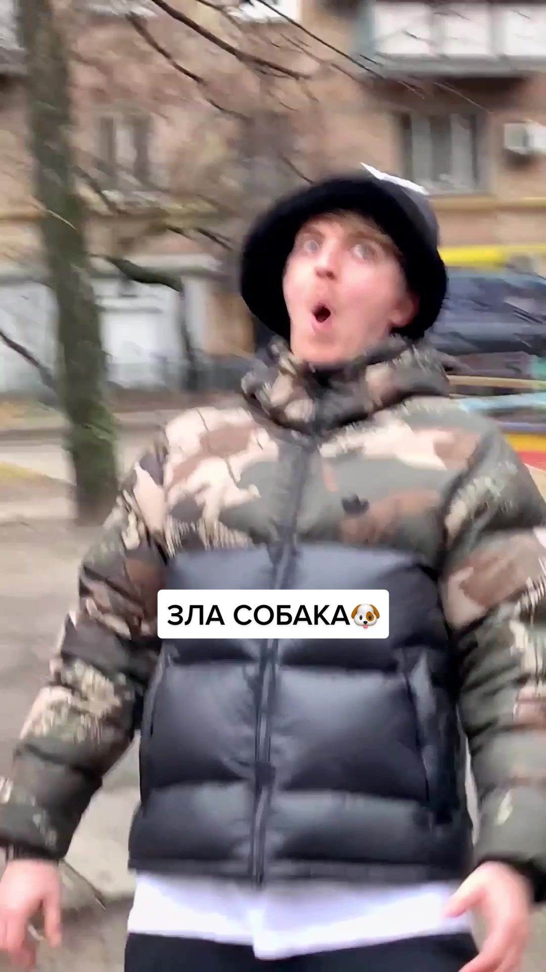 @yoxden