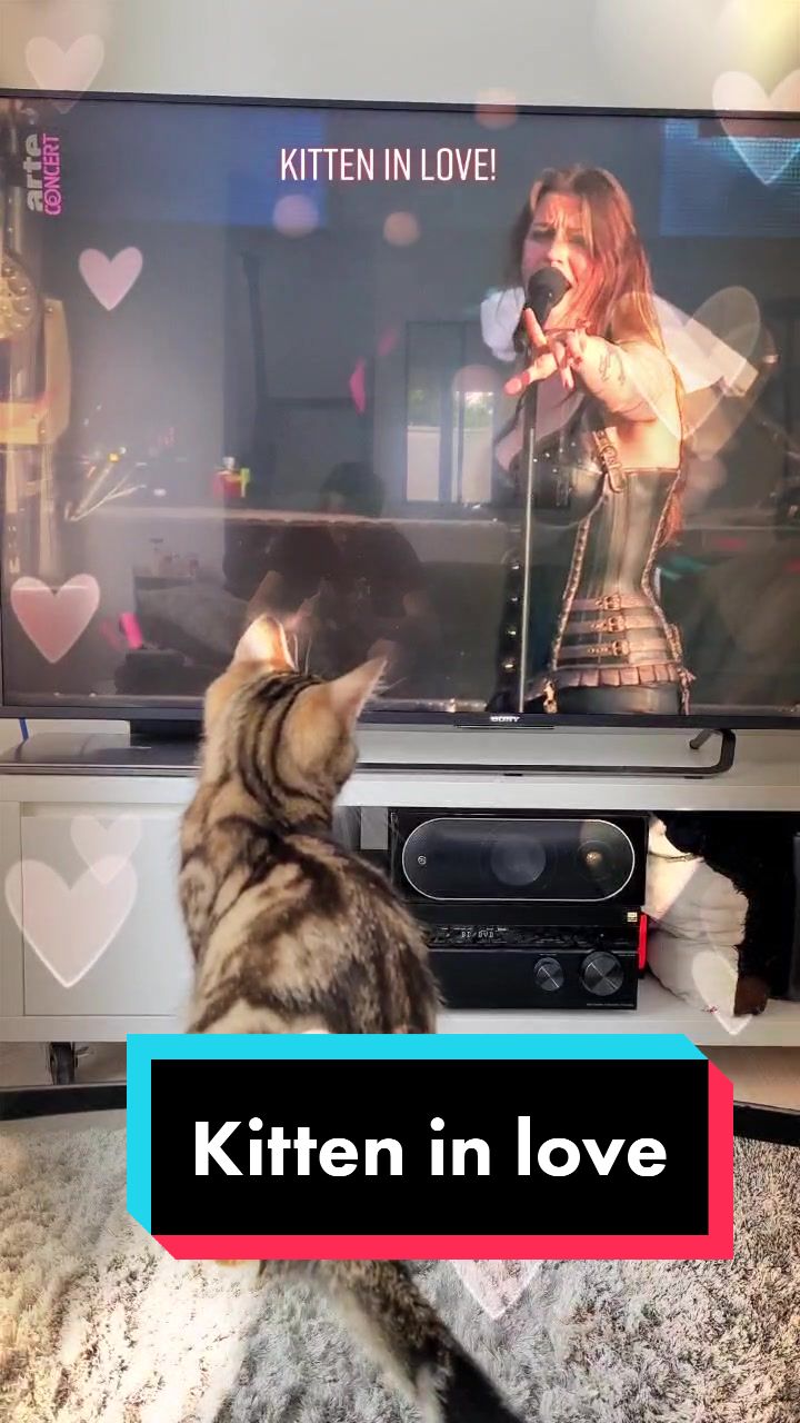@TsukiTheCat