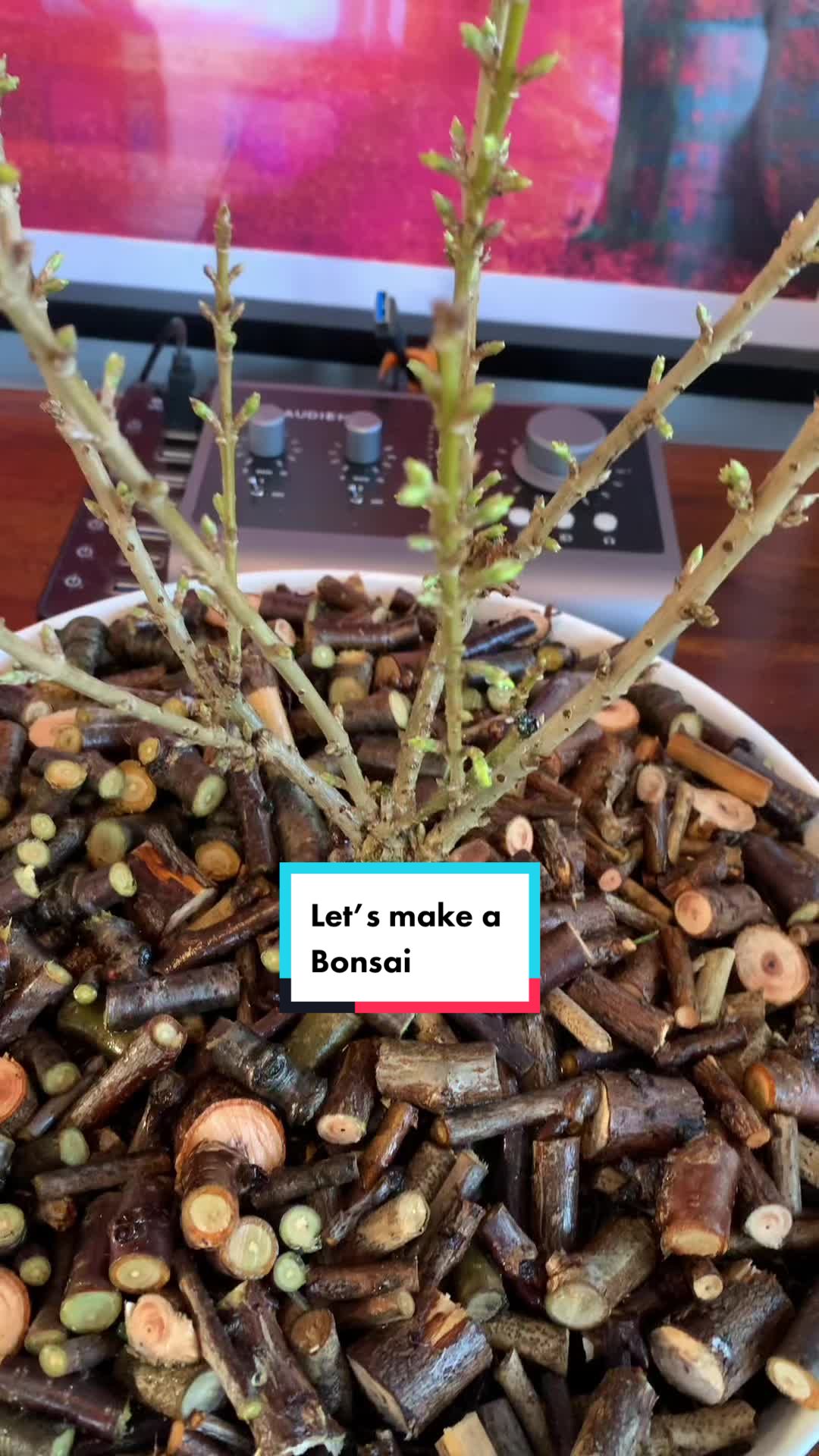 @Plant!U