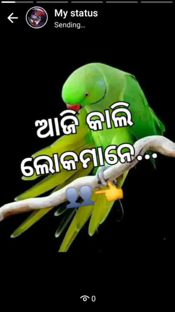 @MAMUNI123_kajal