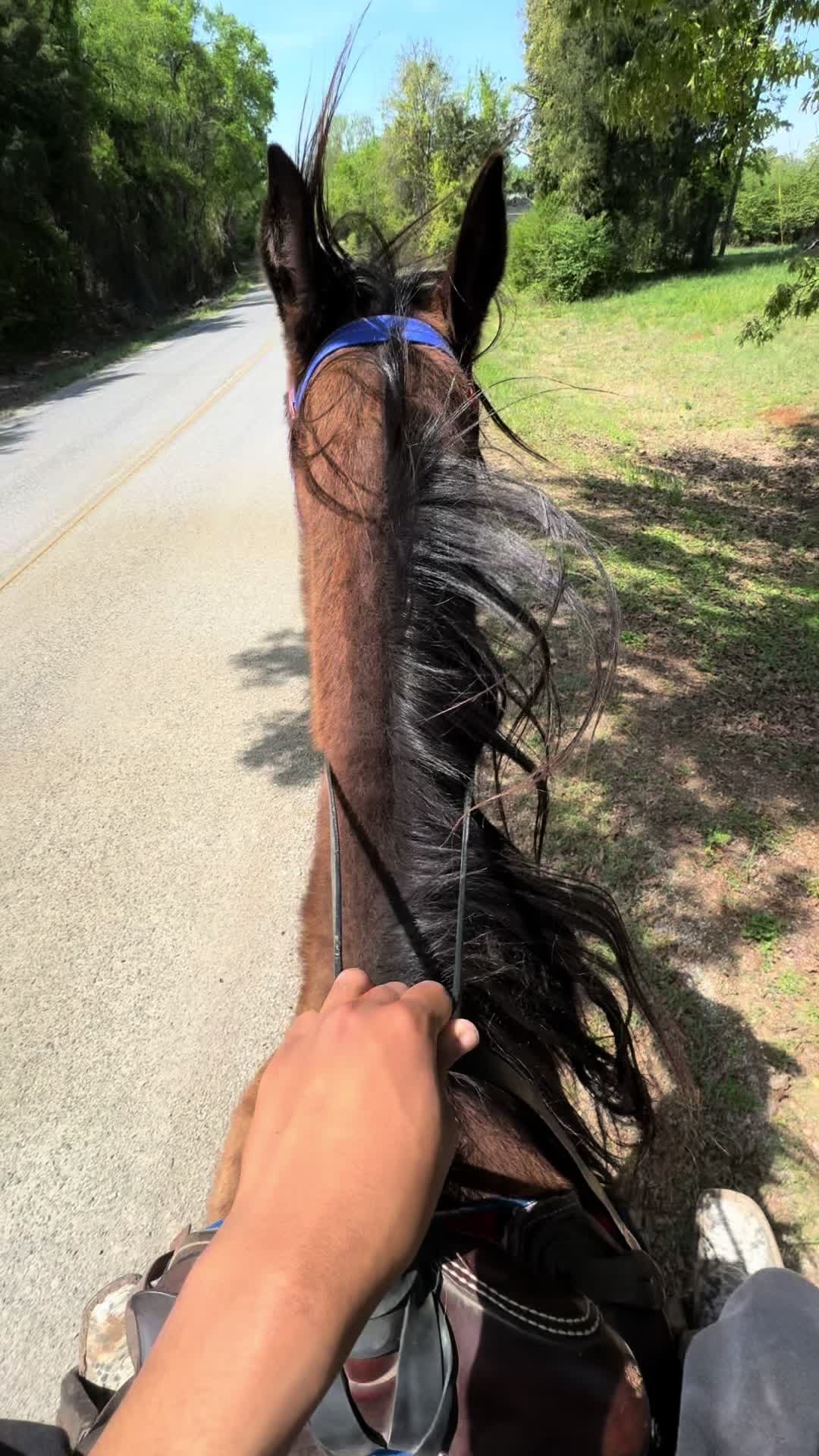 @CJ🧑🏽🌾