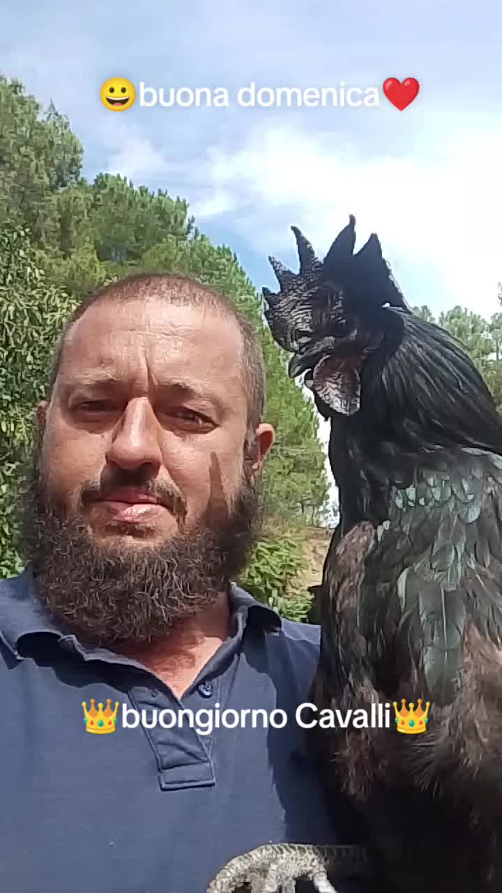 @Stefano Zagara