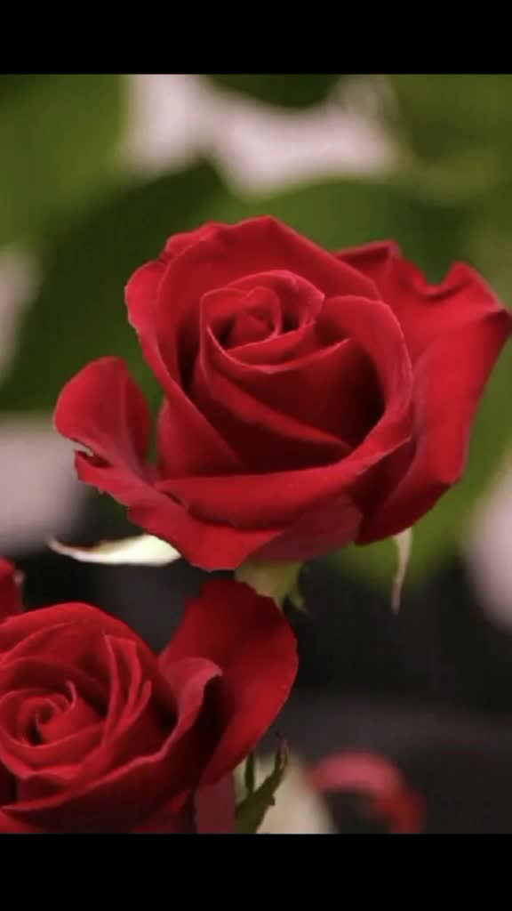 @Kamlesh Kamlesh
