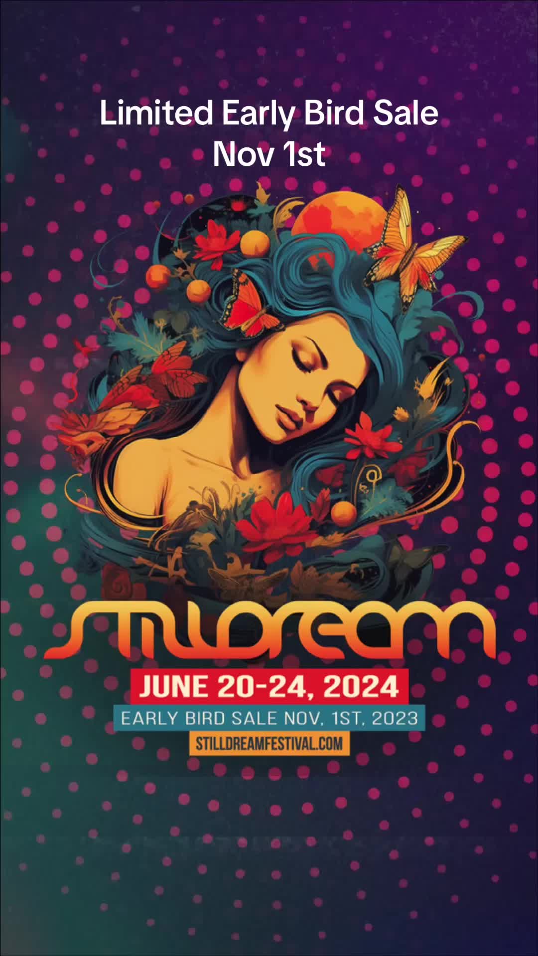 @Stilldream Festival