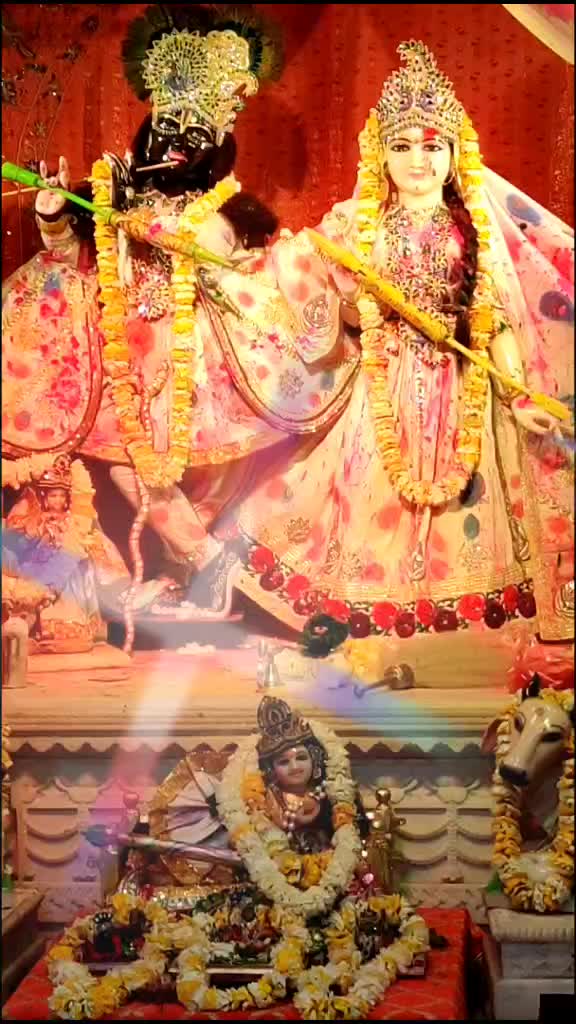 @Buddhe Sharma