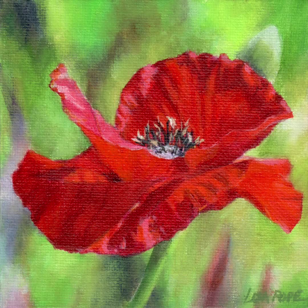@lisapopeartstudio