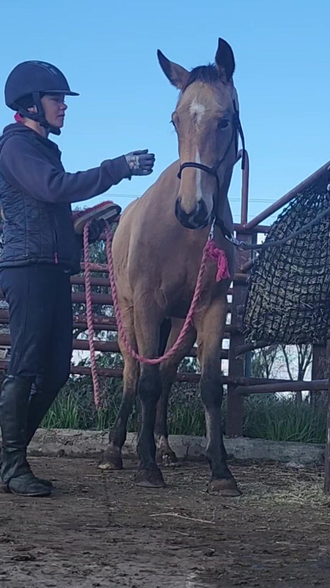 @Jess | Horse trainer