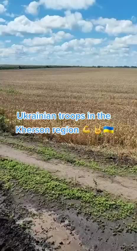 @AC🇬🇧🤝🇺🇦🥰💙💛