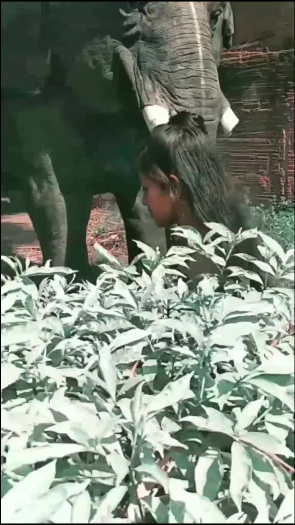 @🦋নিষ্য আকাশের রং🦋