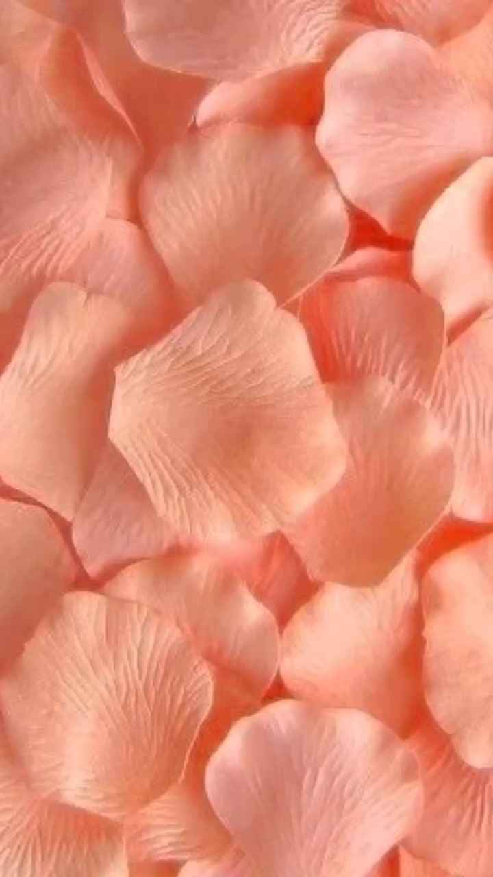@Which.will.you.pick