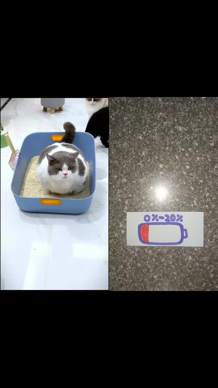 @maxfsdf
