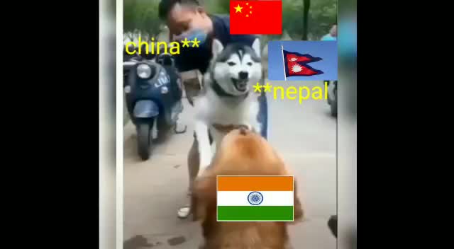 @user3850155355423
