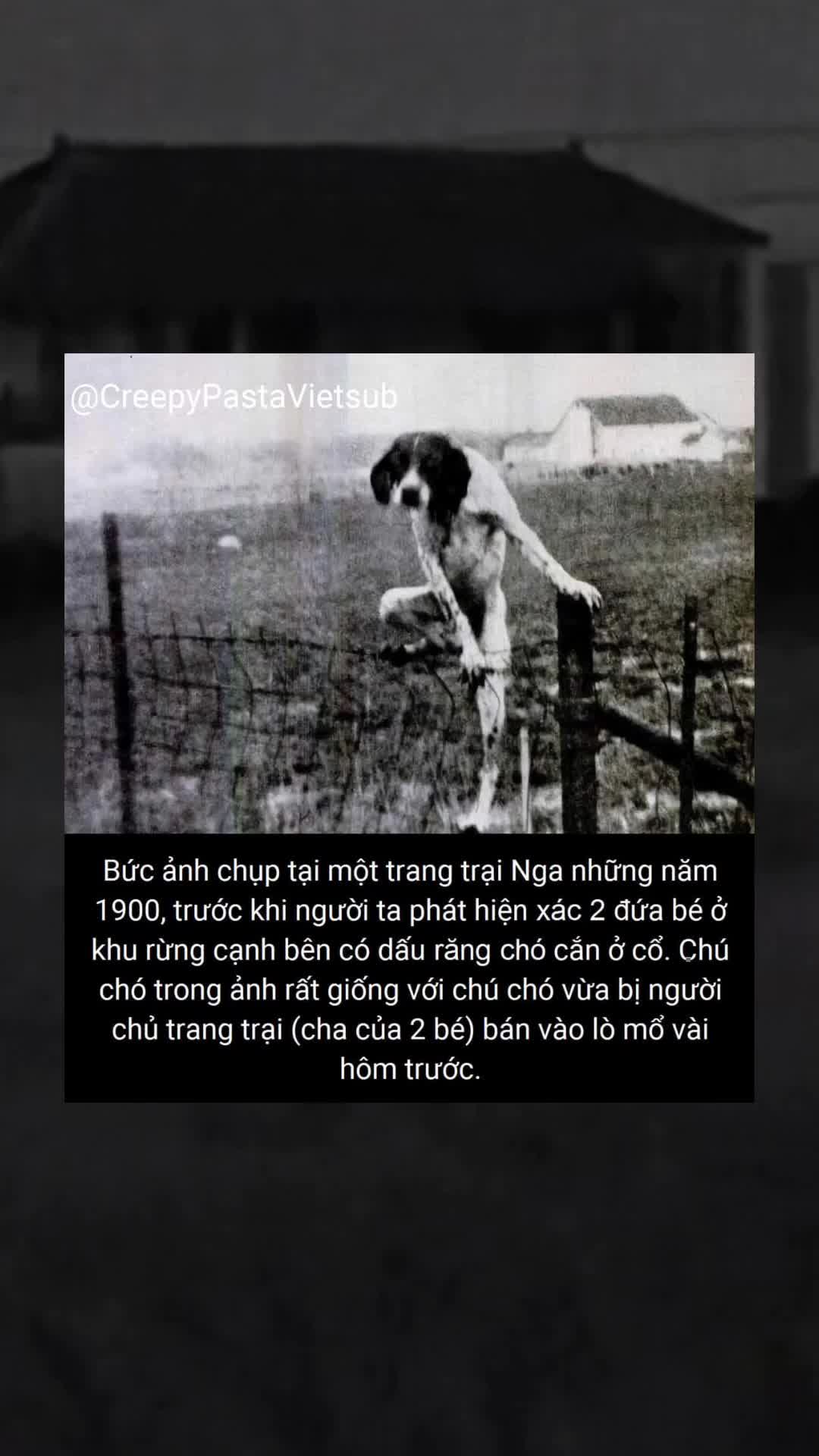 @YuMi