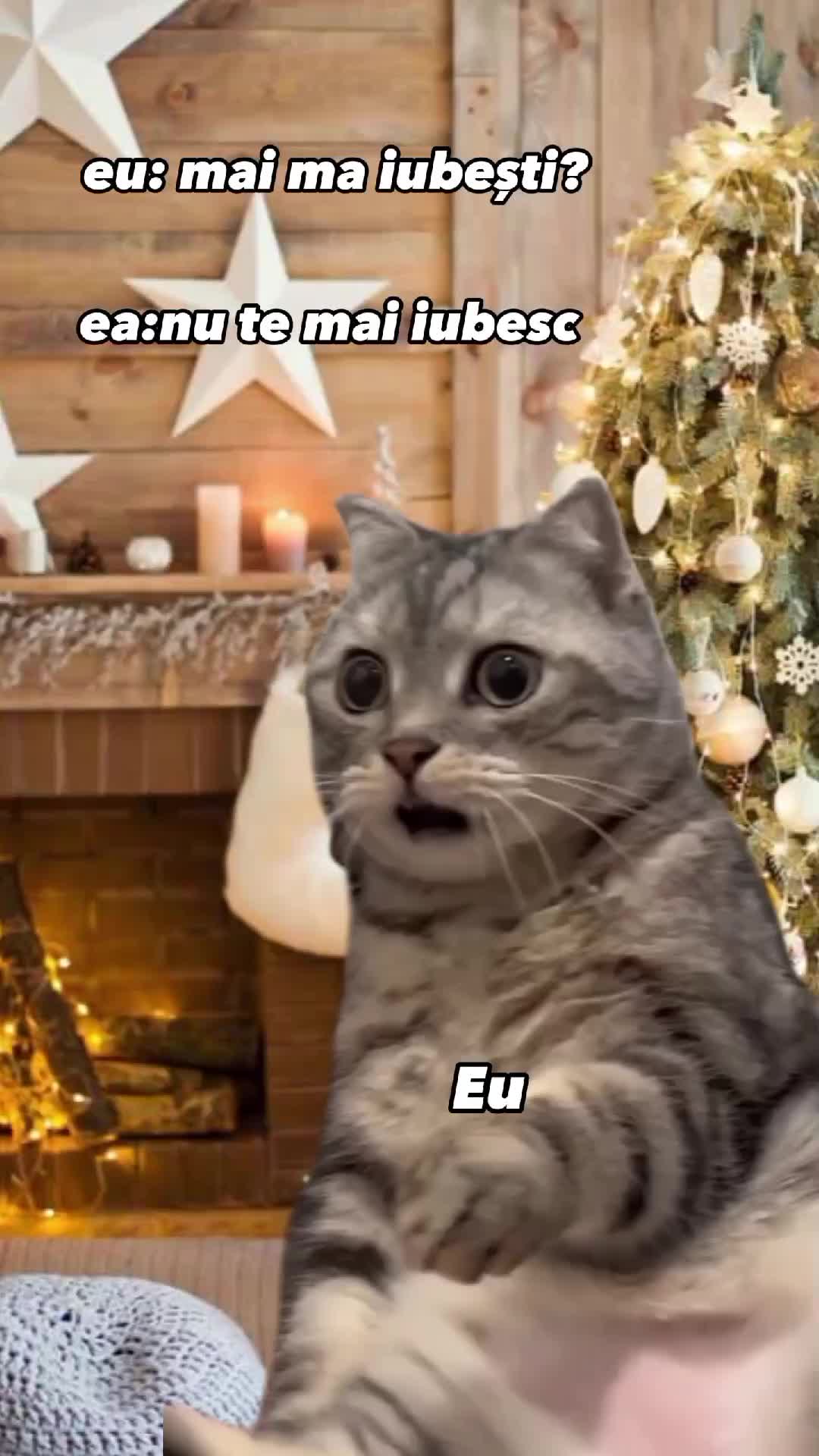 @scenesleuth