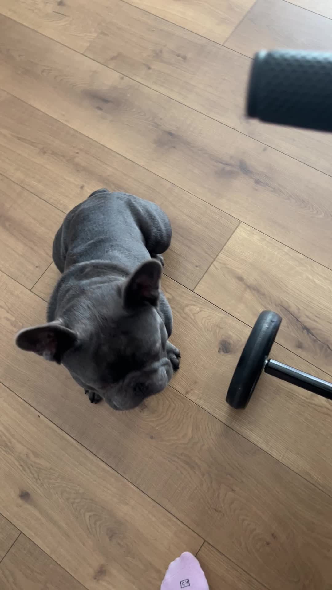 @Shaq Diesel