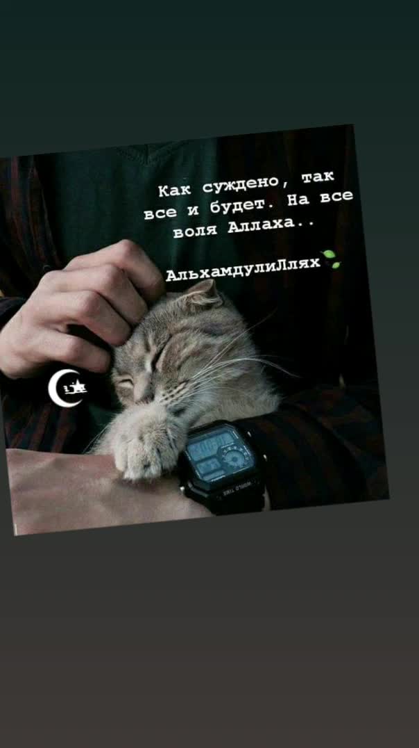@Гульчи Казбекова