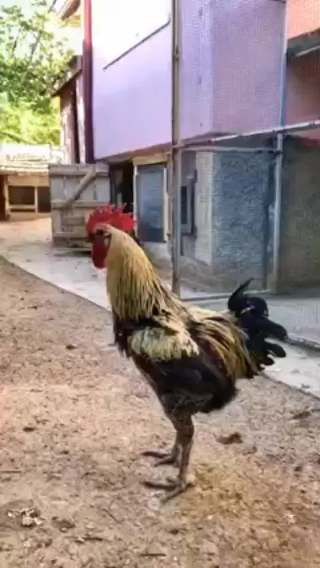 @spider___guy