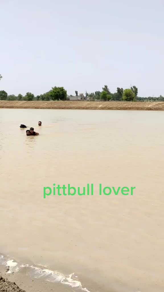 @Gurpreet Singh