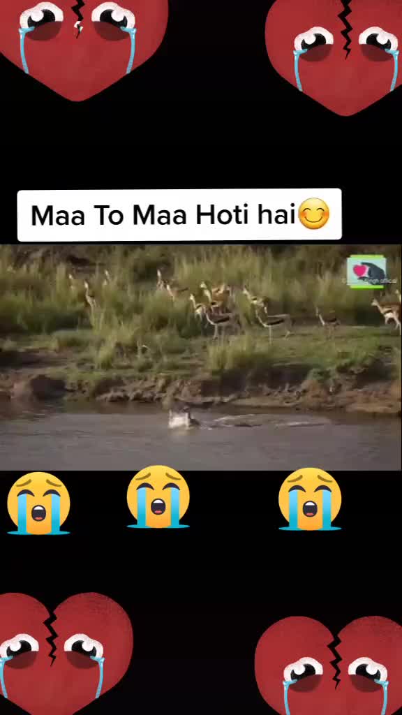 @अमित