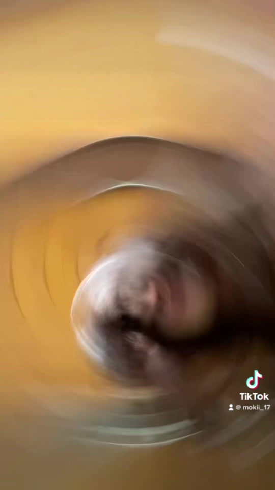 @Monika 🩵