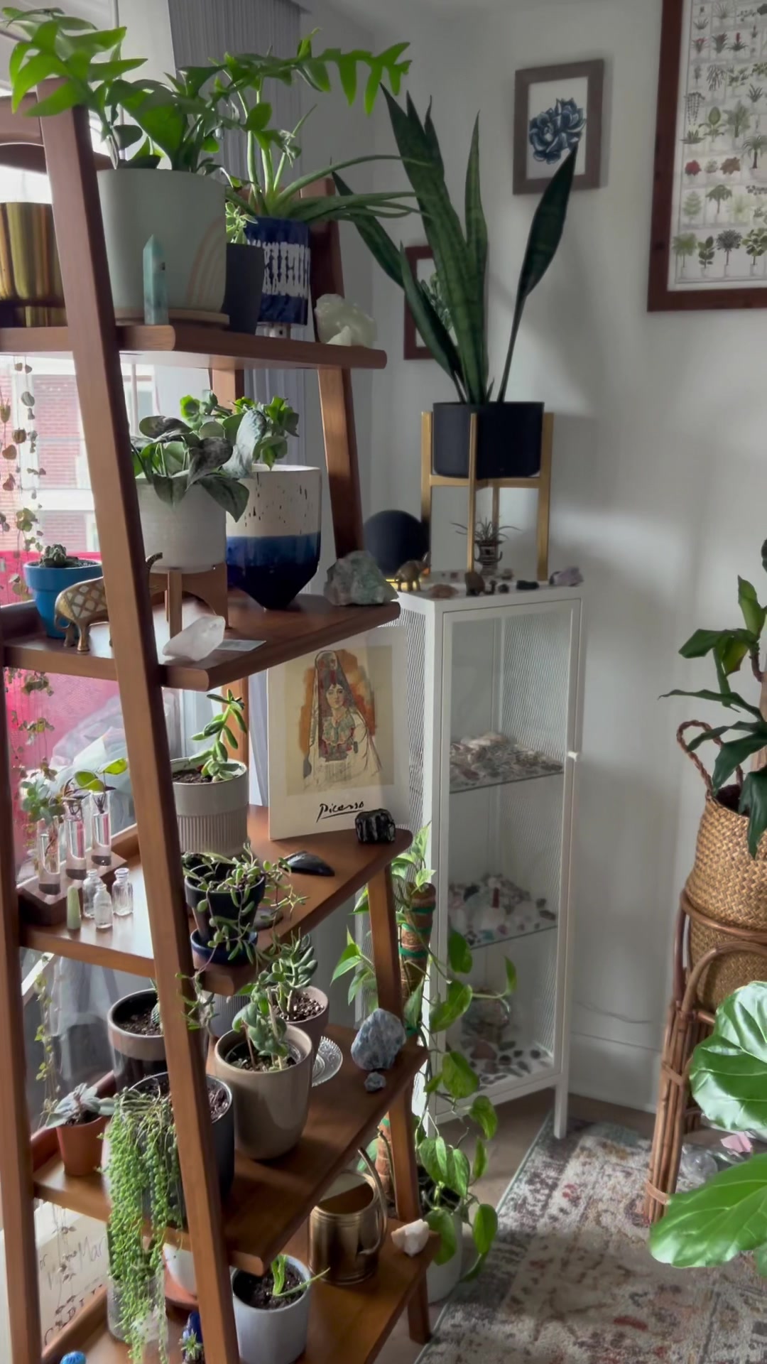 @Tiny Plants