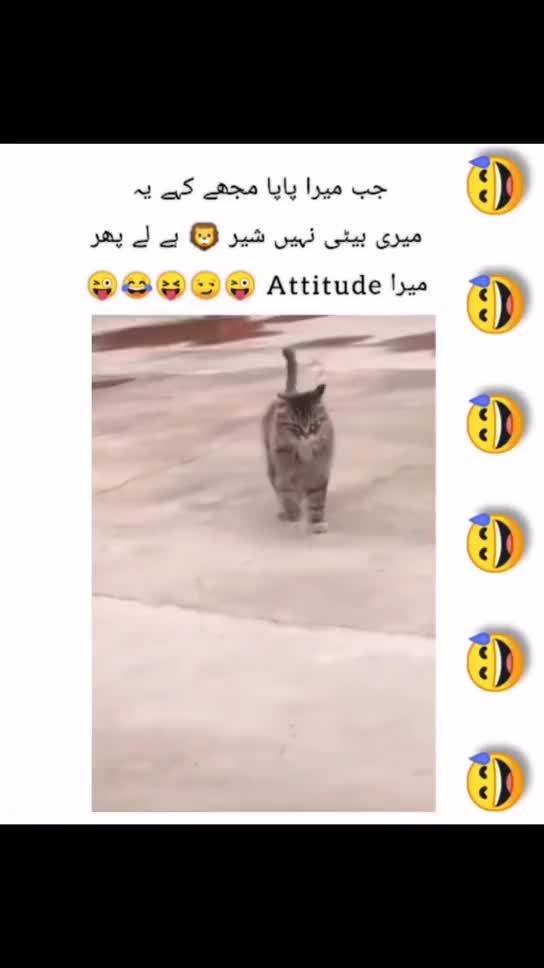 @maanogee