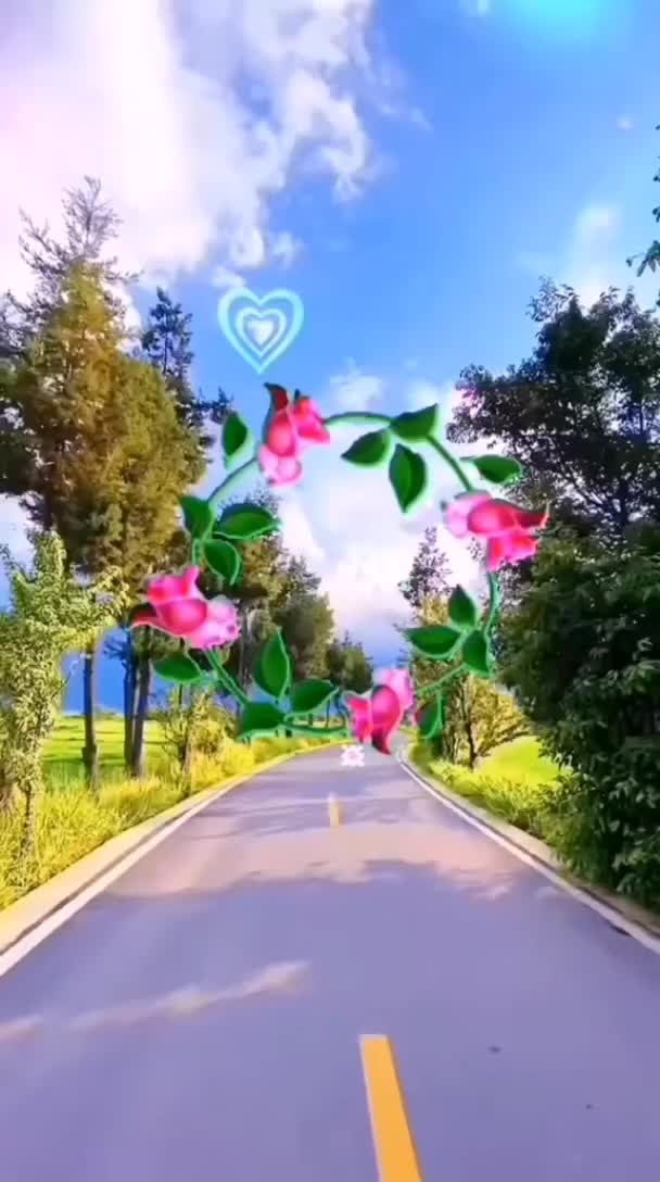 @❤️Allah_lover❤️