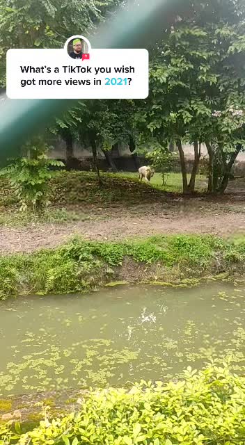 @maheshchauhan-fun